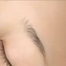 샤인 메디코스 이미지