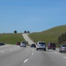 사람 그리고 새 이미지