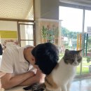 이색 커플 데이트 코스 추천 | 원주 견묘당 후기