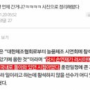 손연재 늘품체조 전후 일정 이미지