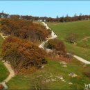 은행나무목장 이미지