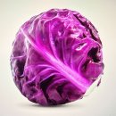 청룡축산 | 빨간양배추 효능 부작용과 함께 정리