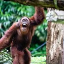 우림농장1 이미지