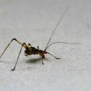 성문사 - 영천시 | 성문사