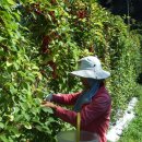 가현농장 이미지