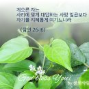 잠언26장/말씀카드/생명의 말씀/미련한자/게으른/남의말하기좋아하는자/말이 많은자/이중인격에대한경고의말씀 이미지