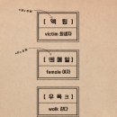 고종 시절 만들어진 영어 발음 교재 이미지