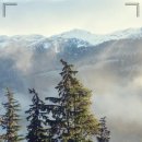 미아연세치과의원 이미지