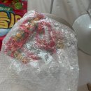 비틀즈 | 아기 셀프촬영 컨셉사진 <맘스튜디오> 비틀즈 소품대여 후기