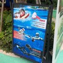 썬비치리조트 | 베트남 휴양지 붕따우 앙사나 호짬 풀빌라 리조트 호캉스 후기