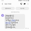 삼성카드 스팸 문자 조심해 이미지