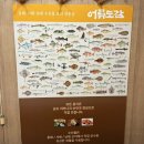목포간이음식 | [전남 목포 맛집] “어류도감” 목포 해물정식 추천 후기