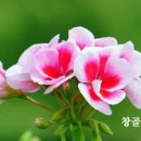 천국과 천당은 다른 건가요? 이미지