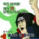 215헤어 네이버블로그