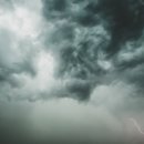 을사조약인가, 을사늑약인가? 이미지