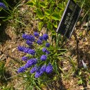 목련쉼터 | 천리포수목원 방문기｜노란 목련과 한옥카페까지 생긴 4월의 봄, 세 번째 이야기