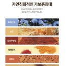 F6650 이미지