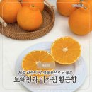 제주보배 | 겨울 제철 과일 제주 비가림 황금향 보배청과 택배 배송 후기