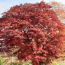 청춘  노래교실 이미지