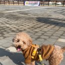 은계유치원 이미지