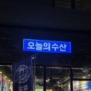 삼성회수산 건너편 | 대구 상인동 '오늘의수산' 삼촌카세 + 고급모듬회 삼성라이온즈 핫플 횟집