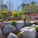 올레길 도심형 2코스 이미지