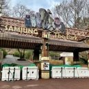 펫인더파크 이미지