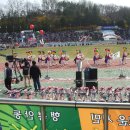 안동시민운동장 이미지