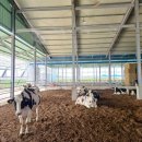 신규농장 이미지