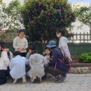 여고초 4월24일(목) 이미지