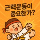 고려대단관태권도 이미지