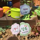 신동아유치원 이미지