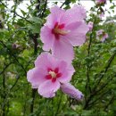 선유동2로 이미지