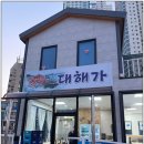 속초향