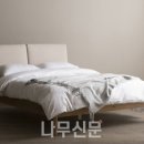 더아이엔티