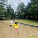 자연유아학교 이미지