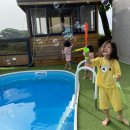 솜니움트리 이미지