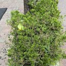 앤엠의원 이미지