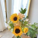 사파동287 이미지