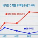 후에스터
