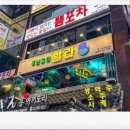 푸른술집 할라 이미지