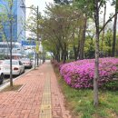 봇들어린이공원 이미지