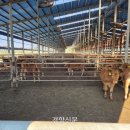 부석보건지소 이미지