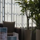 진심을 담은 치과교정과 치과의원 이미지