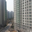 신화병원 앞 이미지