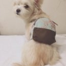 은옥 - 서구 | 은옥