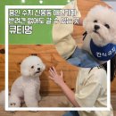 큐티멍 이미지