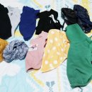 스타일나개 이미지