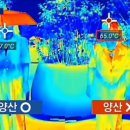 선비세탁소 이미지