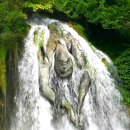 자연의선물 이미지